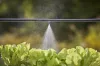 Gardena Micro-Drip ködfúvóka