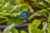 Gardena Micro-Drip 6-állású permetező fúvóka