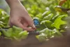 Gardena Micro-Drip 6-állású permetező fúvóka