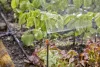 Gardena MD hosszabbítócső permetezőfúvókákhoz