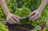 Gardena Micro-Drip 1000 alapelem 