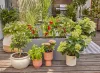 Gardena Micro-Drip készlet terasznövényekhez - 30 növényhez