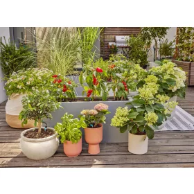   Gardena Micro-Drip készlet terasznövényekhez - 30 növényhez