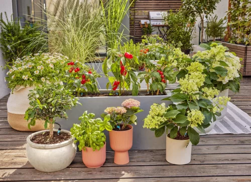 Gardena Micro-Drip készlet terasznövényekhez - 30 növényhez
