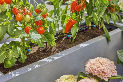 Gardena Micro-Drip készlet terasznövényekhez - 30 növényhez