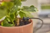 Gardena Micro-Drip indulókészlet balkonnövényekhez - 15 növényhez
