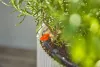 Gardena Micro-Drip indulókészlet balkonnövényekhez - 15 növényhez
