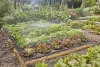 Gardena Micro-Drip indulókészlet zöldségágyáshoz és virágszegélyhez - 40 m²