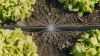 Gardena Micro-Drip indulókészlet zöldségágyáshoz és virágszegélyhez - 40 m²