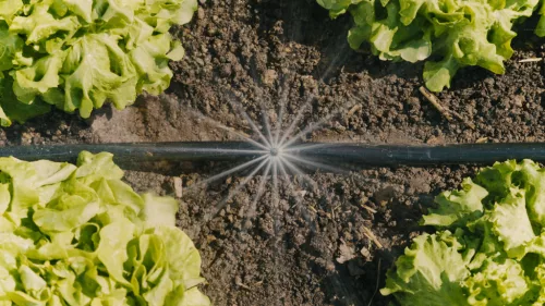 Gardena Micro-Drip indulókészlet zöldségágyáshoz és virágszegélyhez - 40 m²