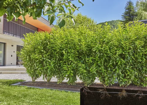 Gardena Micro-Drip csepegtetőcső növénysorokhoz 25 m