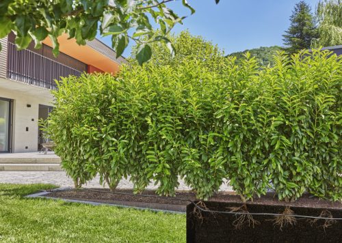 Gardena Micro-Drip föld alatti csepegtetőcső 50 m