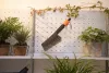 Gardena Cleansystem Basic S Soft mosókészlet