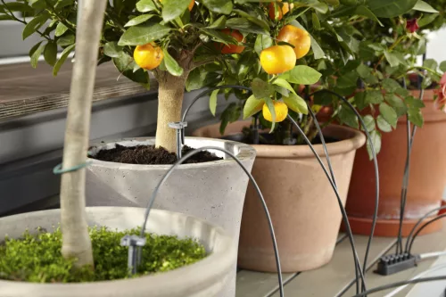 Gardena CityGardening automata öntözőkanna készlet
