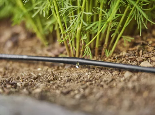 Gardena Micro-Drip föld feletti csepegtetőcső 4.6 mm (3/16") 15 m