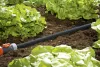 Gardena System gyöngyözőcső 15 m