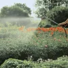 Gardena Profi System öntözőrúd