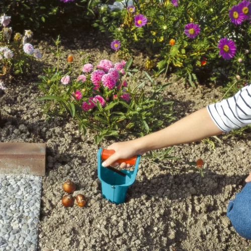 Gardena virághagyma-ültető