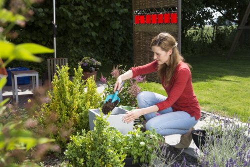 Gardena nagy viráglapát