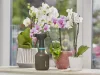 Gardena Pumpás permetező 0.75 liter