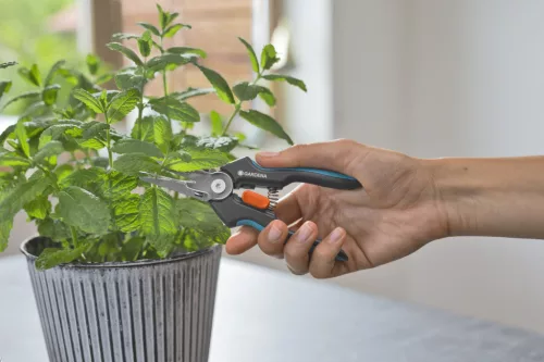 Gardena GripCut Szüretelő Olló részletek – rozsdamentes acél pengék és integrált fogó mechanizmus