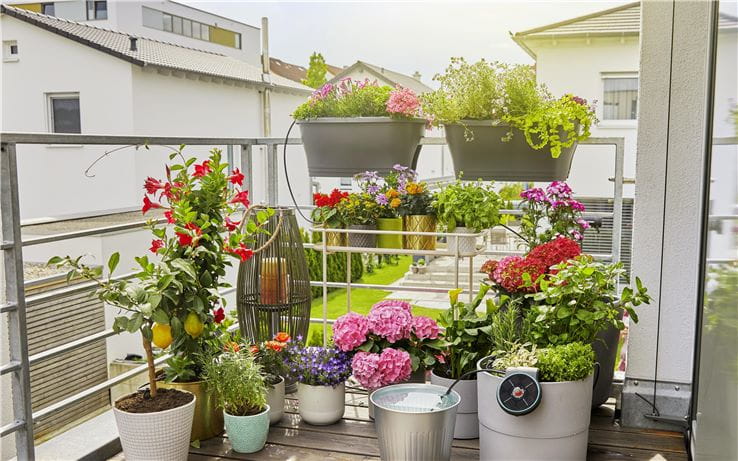 Gardena AquaBloom: a tökéletes napelemes öntözőrendszer